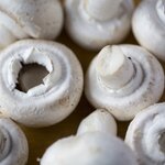 マッシュルームはダイエットおすすめ?マッシュルームの効果・おすすめレシピを解説