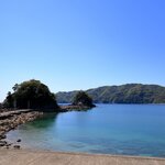 高知のエギングポイント8選!イカ釣り初心者へ攻略法を解説