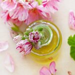 ごま油ダイエットとは?痩せるためのごま油の選び方と使い方を簡単解説!