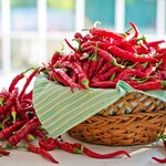 カプサイシンダイエットとは?唐辛子が脂肪燃焼に効果的な理由を解説!