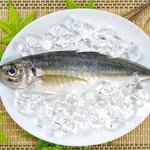 アジはダイエットにおすすめ?鯵の効果・おすすめレシピを解説