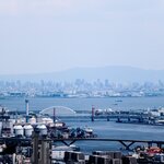 大阪府の釣り場12選!おすすめのポイント別に釣れる魚と釣果を紹介!