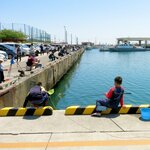 11月に釣れる魚11選!今のシーズンに海や堤防で狙える魚を紹介