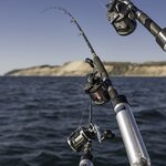 8月に釣れる魚15選!今のシーズンに海や堤防で狙える魚を紹介