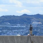 3月に釣れる魚8選!今のシーズンに海や堤防で狙える魚を紹介