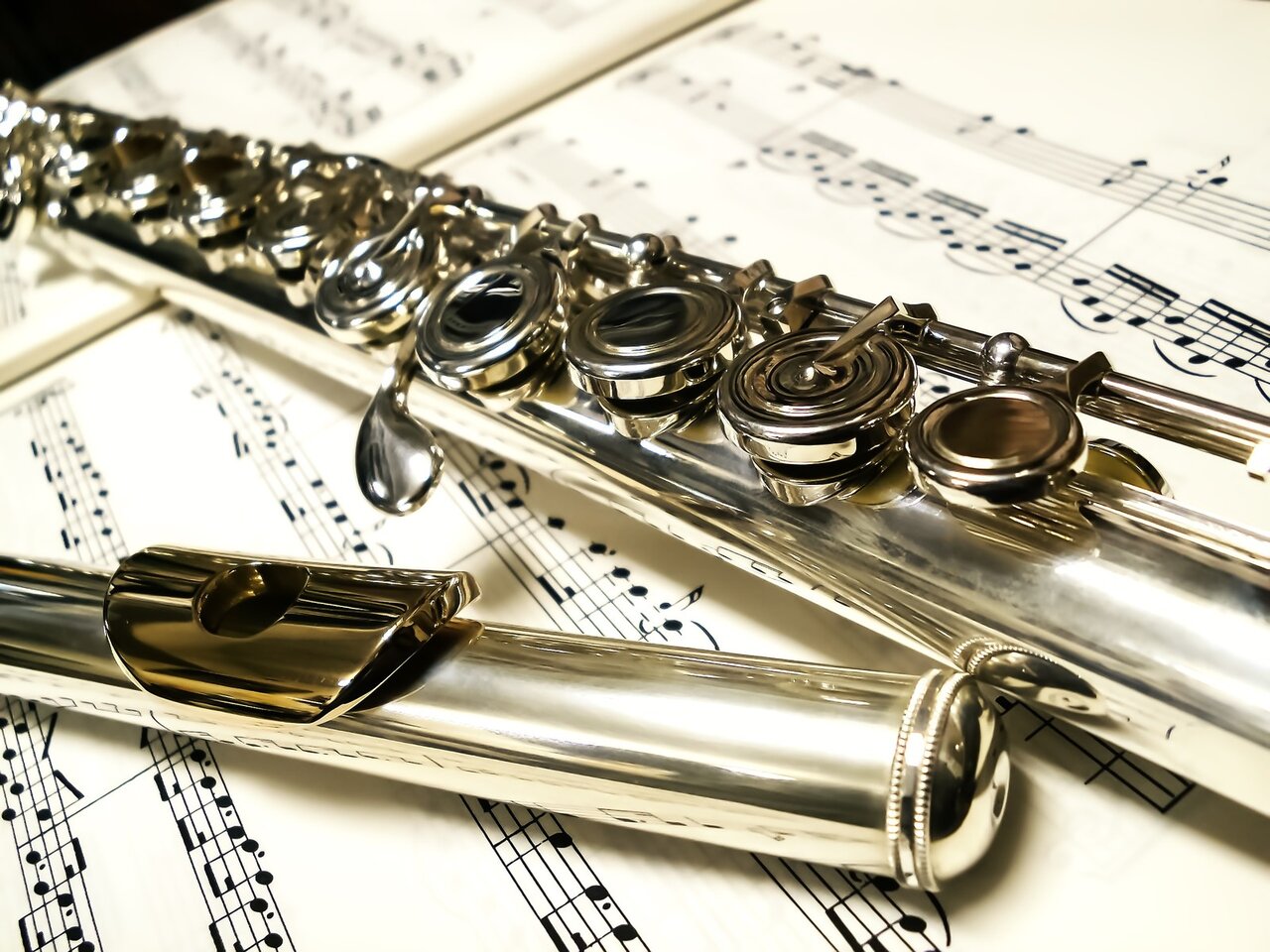 フルート初心者が知っておきたい4つのこととは 初めての疑問を解決しよう Activeる Page 2