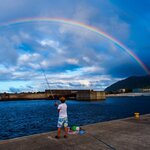 6月に釣れる魚10選!今のシーズンに海や堤防で狙える魚を紹介