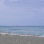 小田原市の釣り場10選!釣りポイント別に釣れる魚と釣果情報を紹介