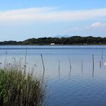 牛久沼のバス釣りポイント12選!おかっぱりから狙えるおすすめ攻略法とは?