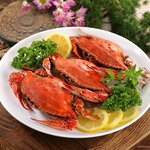 カニはダイエットにおすすめ?蟹の効果やおすすめレシピを解説