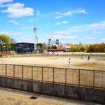 草野球の意味とは?プロ野球とのルールの違いや由来は何?