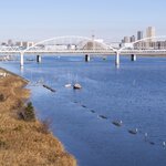 江戸川のシーバスポイント8選!スズキの釣果は河口や放水路を狙おう