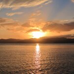 静岡県のシーバスポイント6選!沼津や浜松のデイゲームで人気スポット情報