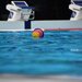 水球のイケメン選手7人！日本代表選手の鍛え上げられた肉体がかっこいい！