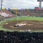 甲子園のホームラン数ランキング!歴代本塁打数が一番多いのはだれ?