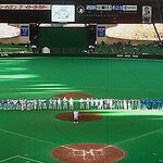 プロ野球のマジックとは?優勝までマジックナンバーをわかりやすく解説!