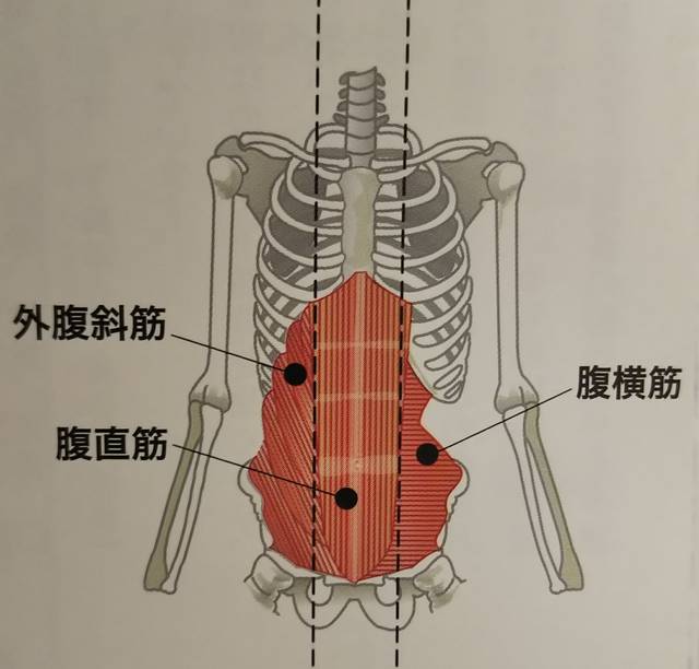 腹筋を割りたい女性が増えている 腹筋女子のトレーニングメニュー７選 Activeる