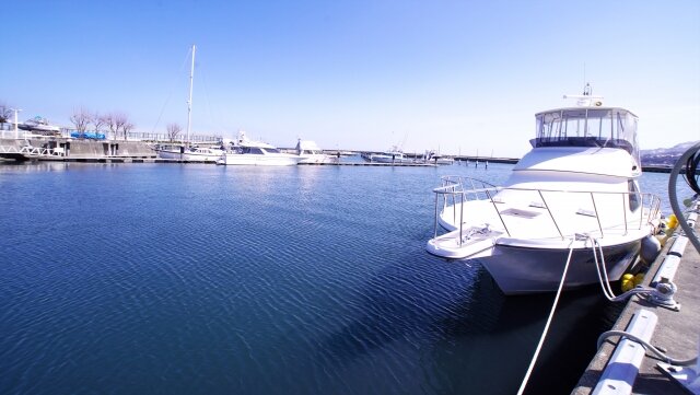 北海道でイカが釣りたい 釣果が期待できるおすすめポイント5選 Activeる