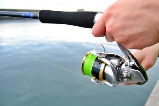 アジングの時期 シーズンはいつ 一番釣れる季節と時間帯を解説 Activeる Page 3