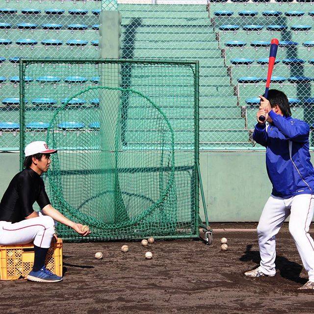 ティーバッティングとは？練習方法と種類と効果を解説！ Activeる! (page 5)