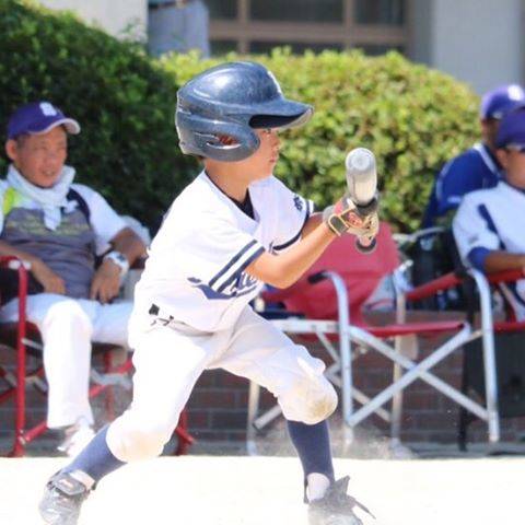 セーフティバントとは バントのやり方と3つのコツとは 野球上達ガイド Activeる