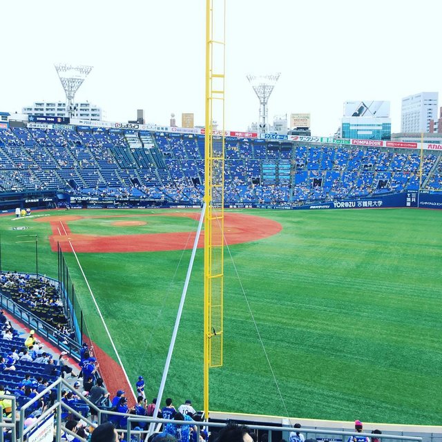 野球のビデオ判定とは リクエスト制度の成功率 誤審率 回数を解説 Activeる