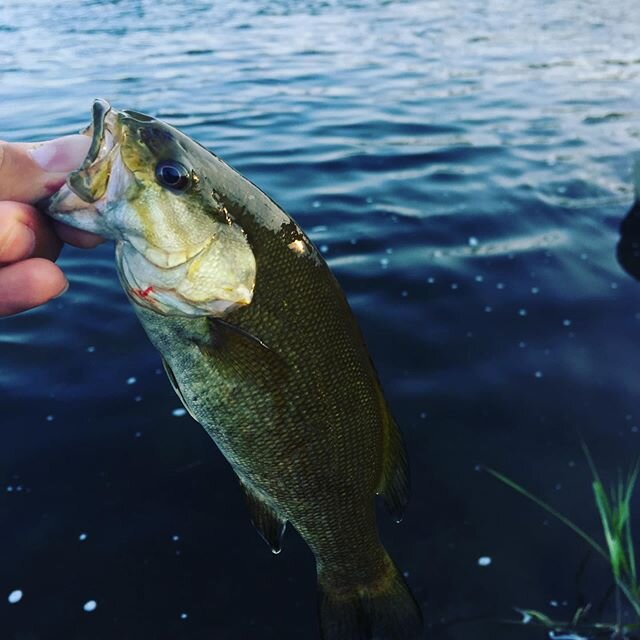 東京都のバス釣りポイント8選 初めて行く人はどこがおすすめ 釣り場情報 Activeる