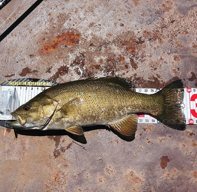 郡山のバス釣りポイント8選 おかっぱり ボートから狙おう 釣り場情報 Activeる