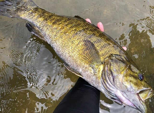 郡山のバス釣りポイント8選 おかっぱり ボートから狙おう 釣り場情報 Activeる Page 4