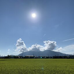 sano5152 sano5152