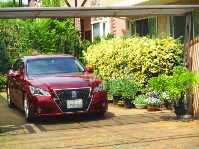 自動ブレーキ比較 国産車編 マイカーのお役立ちサイト マイカーサーチドットコム