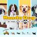 Honda Dog|わんこにやさしいクルマ|FREED(フリード)