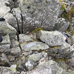 ＜2月の新メンバー＞物語のある日本を、世界へ届けたい（グローバル推進室・大浜）