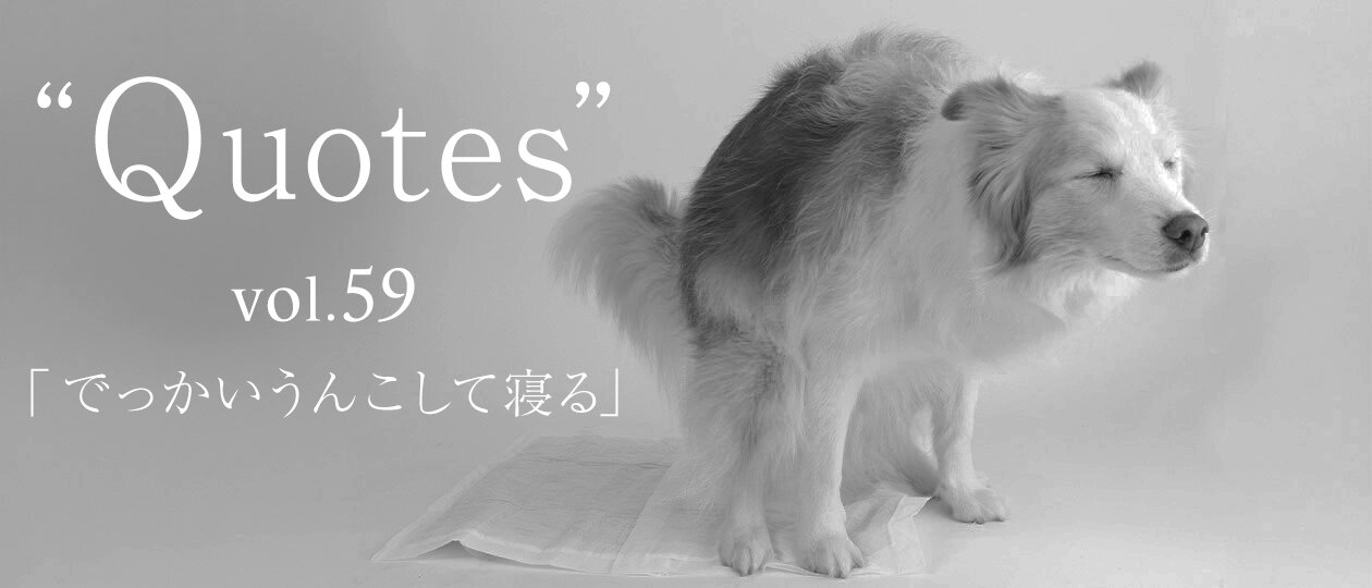 同期がくれた、心を守るためのシンプルな処方箋