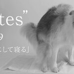 同期がくれた、心を守るためのシンプルな処方箋