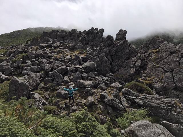 最近登った北八ヶ岳!