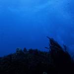 週末は海況に恵まれる!