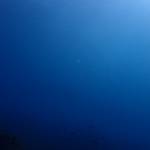 落ち着いた海はいいね