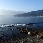 穏やかな海況になりました