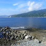 今日も穏やかな海況です。