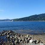 今日も大丈夫そうです