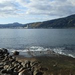 昨日に比べ、少し落ち着く