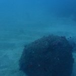 海況もやっと落ち着いたようです。