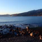 今日も落ち着いた海況
