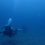 水面はざわつくも水中は静かです。