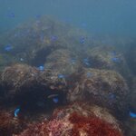 生物も徐々に増えてきています。