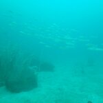 穏やかだが流れはあり
