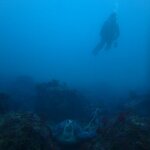 水面はうねりうが、水中は問題なし