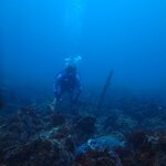 穏やかで青い海が続く