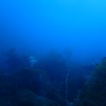 久しぶりに波に揺られた気がします